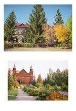 Арутюнян Карина. Ковель. 2016-2020