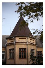Арутюнян Карина. Ковель. 2016-2020