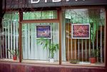 Арутюнян Карина. Знайдені Об'єкти. Фото 2016-2021