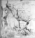 Хасевич Ніл. Графіка в бункерах УПА 1944-1951