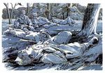 Хасевич Ніл. Графіка в бункерах УПА 1944-1951