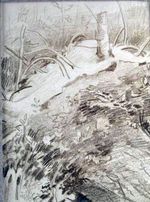 Хасевич Ніл. Графіка в бункерах УПА 1944-1951